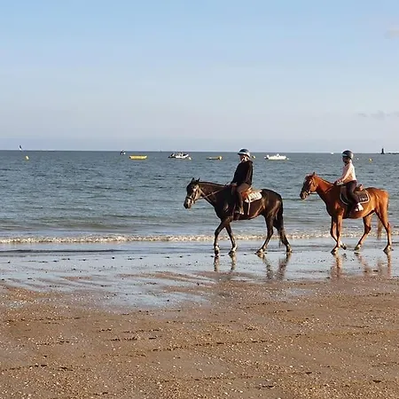 Ocean Bleu - Bord De *